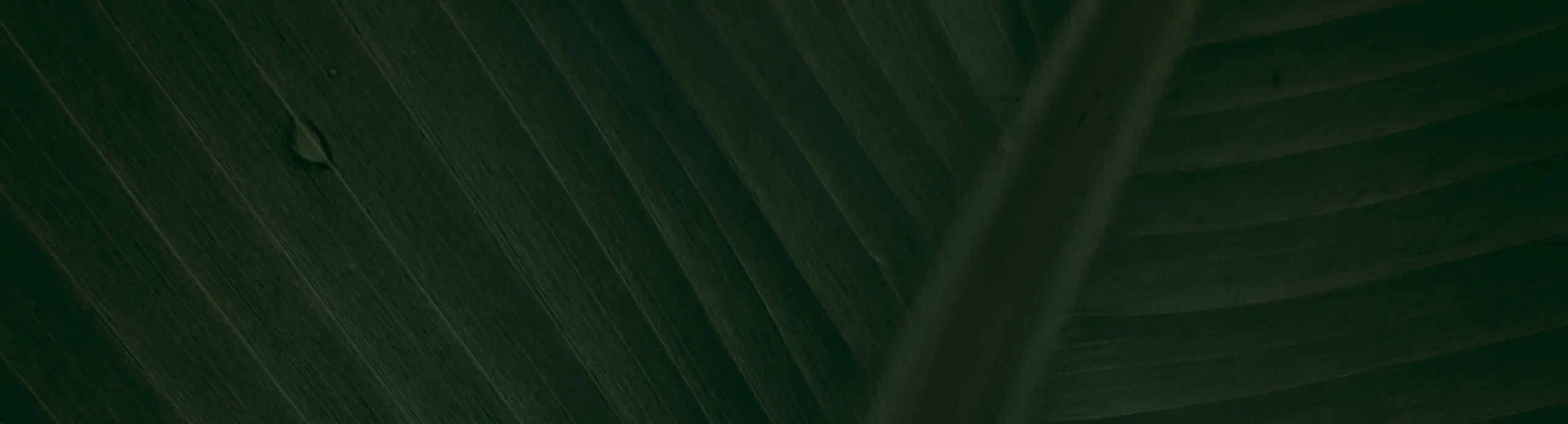 اشتراك 3 اشهر iptv للقنوات المشفرة